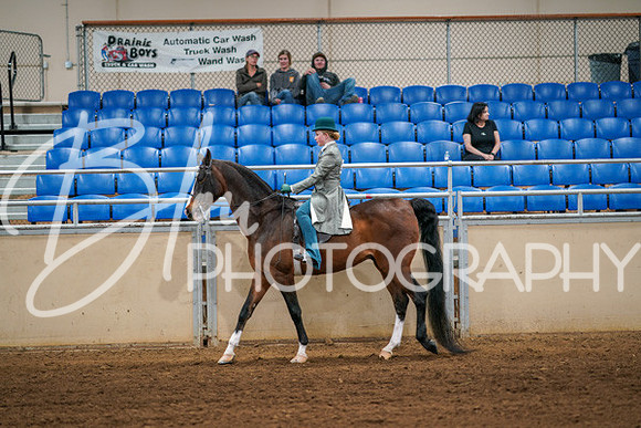 Aurora Show June 6, 2024  - 03866