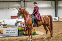 333 Region 17 HA/AA Country English Pleasure Junior Horse Championship