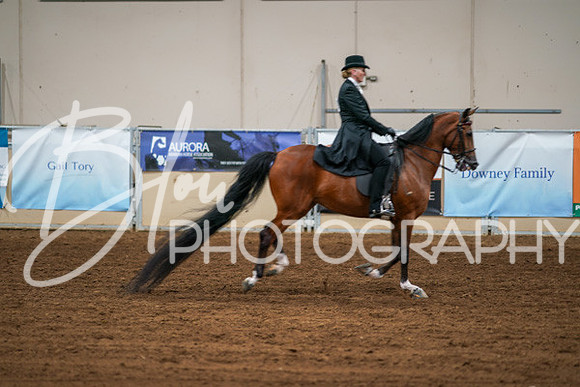 Aurora Show June 6, 2024  - 04793