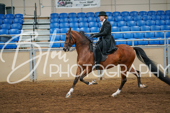 Aurora Show June 6, 2024  - 04769