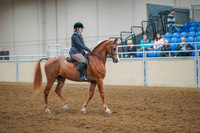 203 ACADEMY Walk/Trot/Jog Equitation All Disciplines Any Age