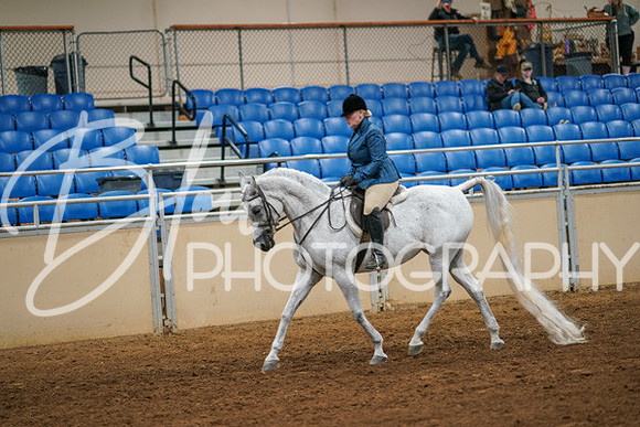 Aurora Show June 6, 2024  - 04207
