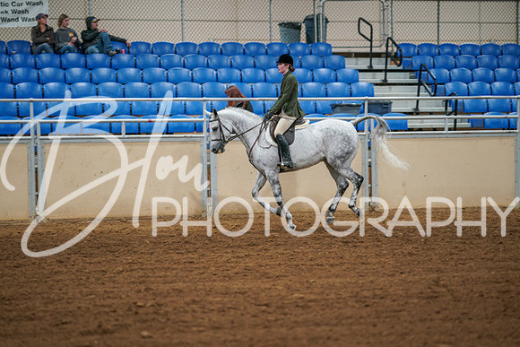 Aurora Show June 6, 2024  - 04238
