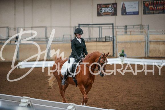 AHS June 4, 2026 - 0205