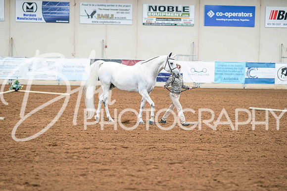 AHS June 4, 2026 - 1282