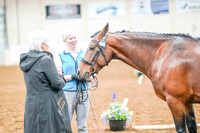 120 - HA/AA Sport Horse Mares In-Hand 2 & Over ATH