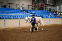 123 - A/HA/AA/AATH Showmanship 19 & Over