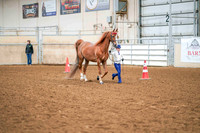125 - ALL BREED Showmanship 17 & Under