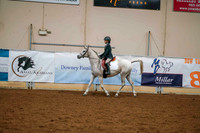 132 - ACADEMY Walk/Trot/Jog Pleasure All Disciplines Any Age