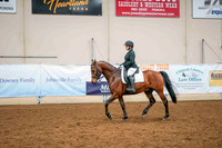 134 - ARABIAN Sport Horse Show Hack Open