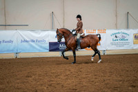 156 - ALL BREED Assisted Walk/Trot/Jog Any Age-Any Discipline