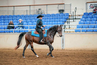 138 - ALL BREED Western Pleasure Open