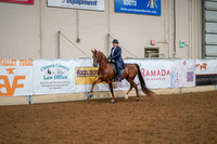 142 - AMERICAN SADDLEBRED Park Pleasure Jr or Limit Horse