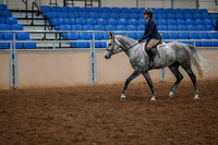 146 - HA/AA Sport Horse Under Saddle Jr Horse