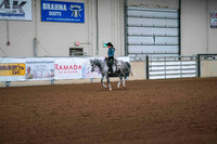 148 - ARABIAN Ranch Riding Open