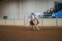 150 - ARABIAN Ranch Riding ATR