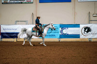 152 - ARABIAN Ranch Riding Jr Horse