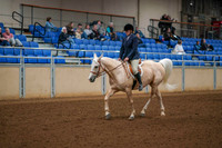 154 - HA/AA Sport Horse Under Saddle ATR