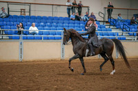 154 - Morgan Classic Pleasure Junior Horse