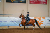 160A - ALL BREED Saddleseat Equitation 13 & under