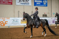 160B - ALL BREED Saddleseat Equitation 14 - 17 years