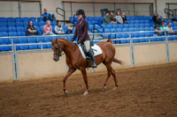 161 - ARABIAN Sport Horse Under Saddle ATR