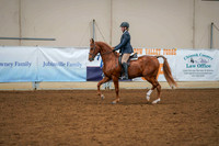 166 - AHA Hunter Seat Equitation Medal JTR