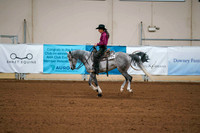 169 - ARABIAN Reining Open