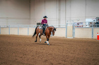 170 - HA/AA Reining Open