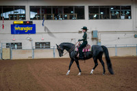 176 - AHA Medal Western Horsemanship JTR