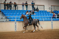 177 - AMERICAN SADDLEBRED English Country Pleasure Jr Rider