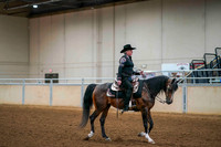 179 - HA/AA Western Pleasure Open