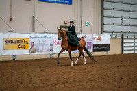 184 -  ARABIAN Ladies Side Saddle Western/English Open