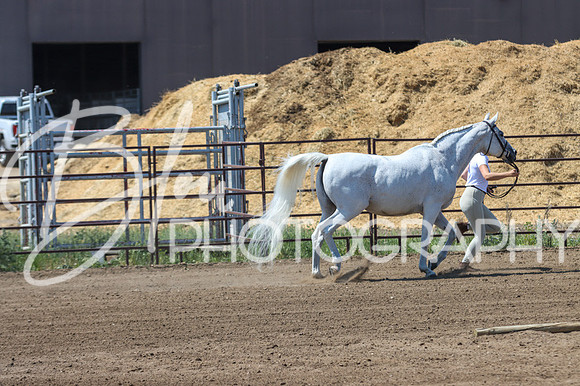 Aurora Show Thursday, June 8, 2023- 0622