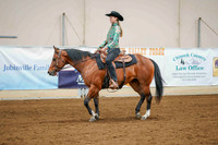 211 - ALL BREED Western Pleasure Amateur