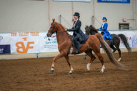 AHS June 6, 2026 - 1037