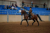 226 - AMERICAN SADDLEBRED 3 Gaited Show Pleasure Senior Rider