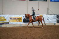176 -  A/HA/AA Walk/Jog/Trot Pleasure 10 & Under