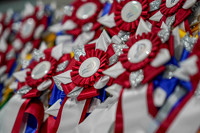 Aurora Horse Show June 4 - 7, 2026