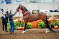 Fall Classic Sept 28, 2024 - 0268
