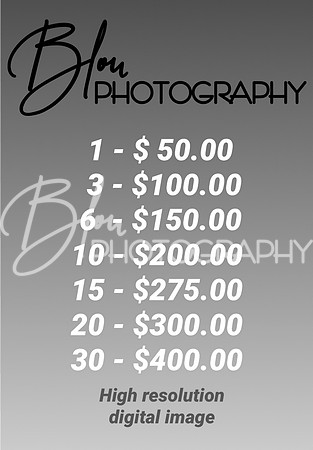 Blou Photography Show Price list (4)