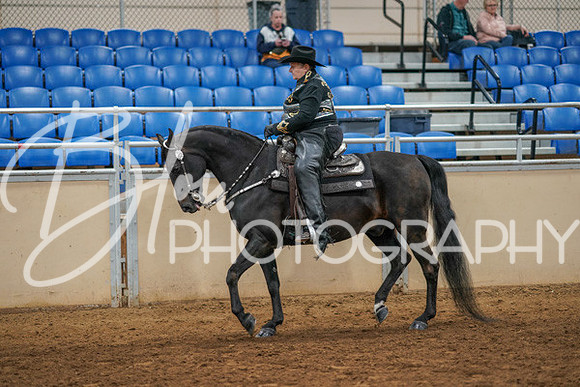 Aurora Show June 7, 2024  - 05462