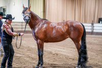 WCB June 26, 2026 - 0191
