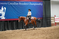 4 - WCB Arabian Ranch Horse Rail Pleasure OPEN Championship