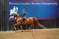 5 - WCB HA/AA Country English Pleasure ATR Championship