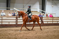 6 -WCB HA/AA Sport Horse Under Saddle JTR Championship