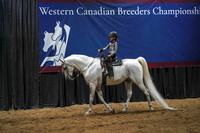 WCB June 26, 2026 - 1058
