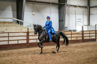 15 -  WCB Arabian Country English Pleasure ATR Championship