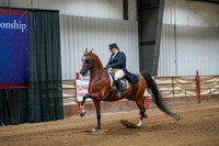 9 - WCB HA/AA English Show Hack OPEN Championship