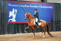 WCB June 26, 2026 - 4266